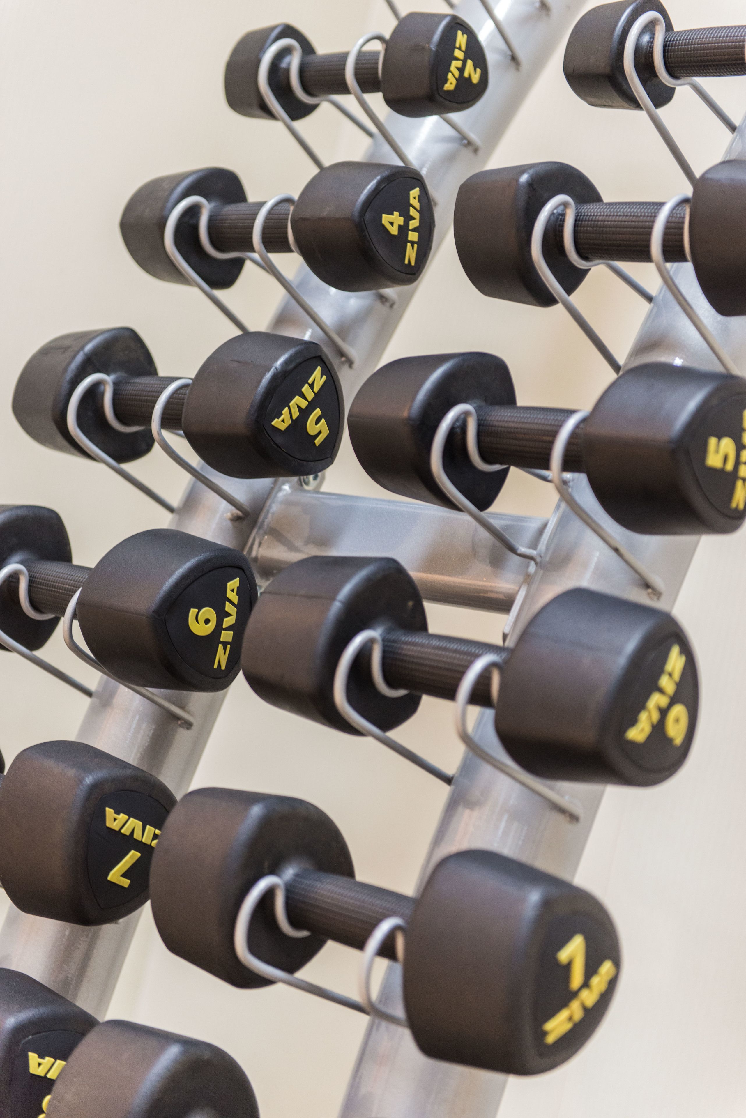 A rack of dumbbells with weights ranging from 1 to 9.