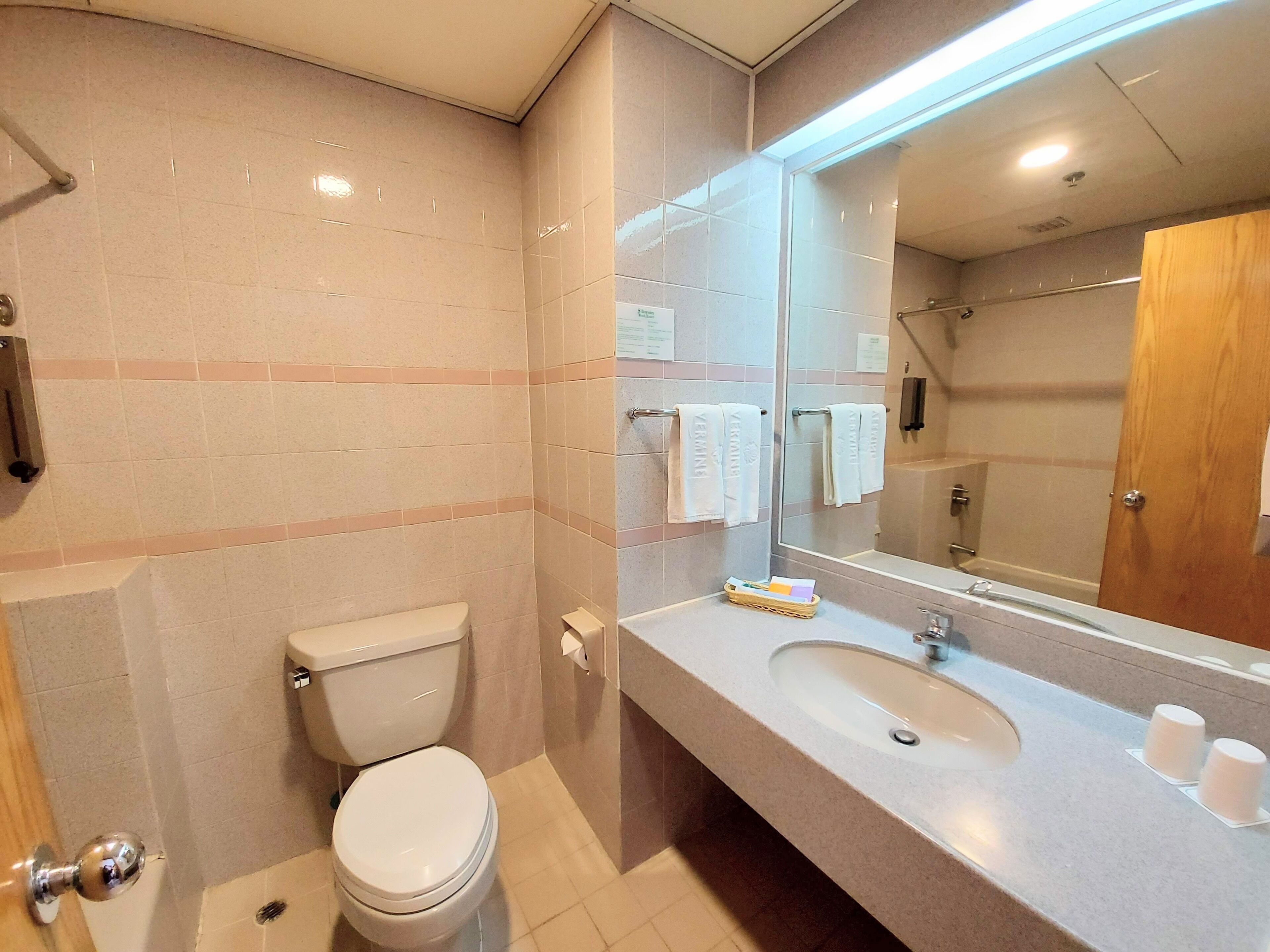 A bathroom with a toilet, sink, and mirror.