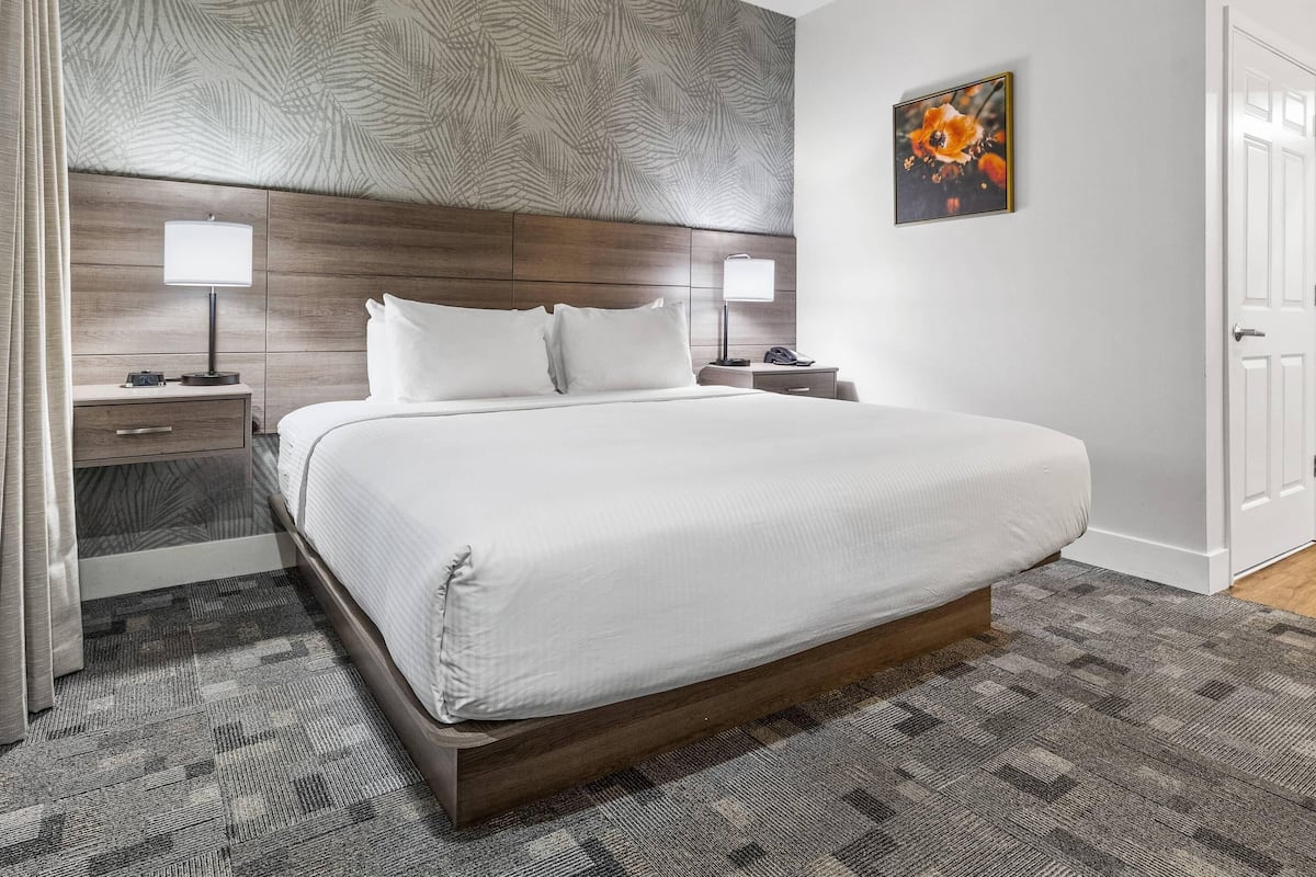 Suite, 1 King Bed with Sofa bed, Accessible, Non Smoking | Down duvets, desk, laptop workspace, iron/ironing board