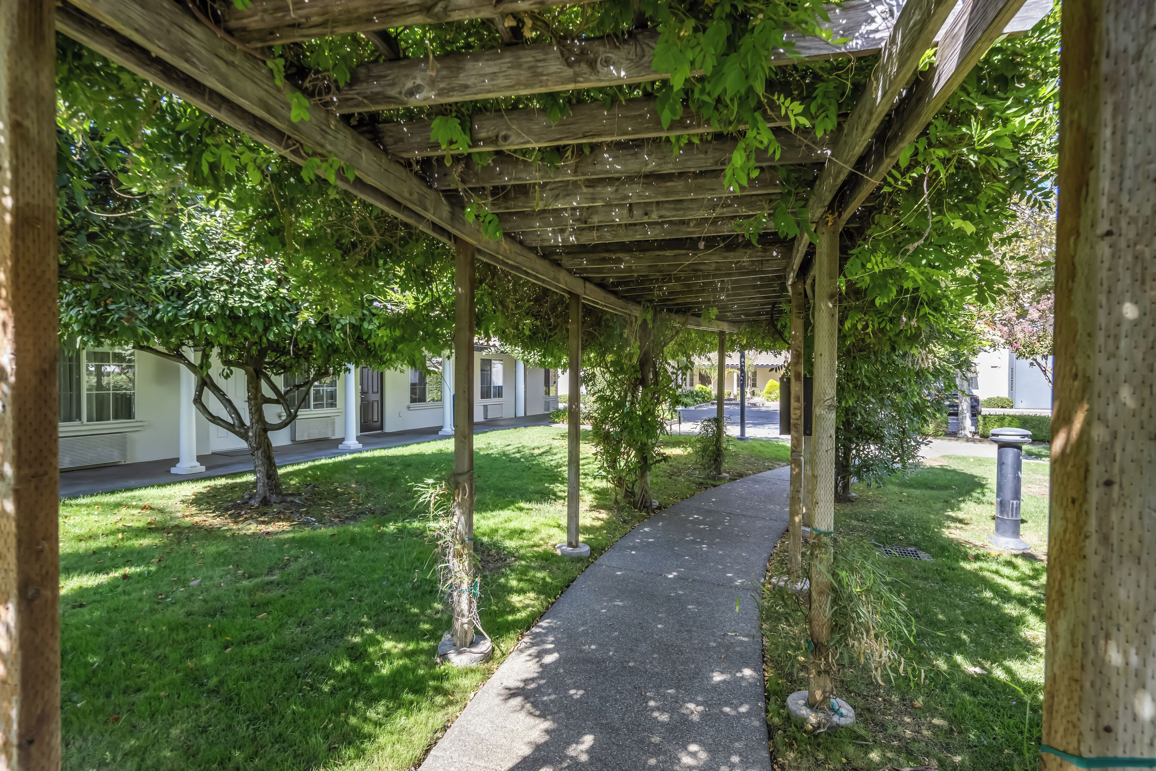 A covered walkway with a concrete path, surrounded by greenery and trees.