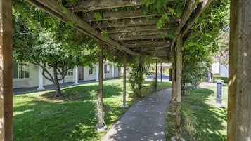 A covered walkway with a concrete path, surrounded by greenery and trees.