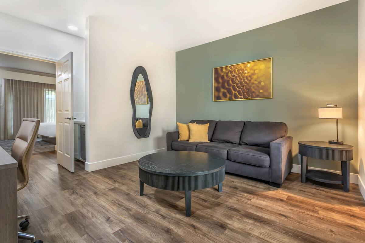 Suite, 1 King Bed with Sofa bed, Accessible, Non Smoking | Down comforters, desk, laptop workspace, iron/ironing board