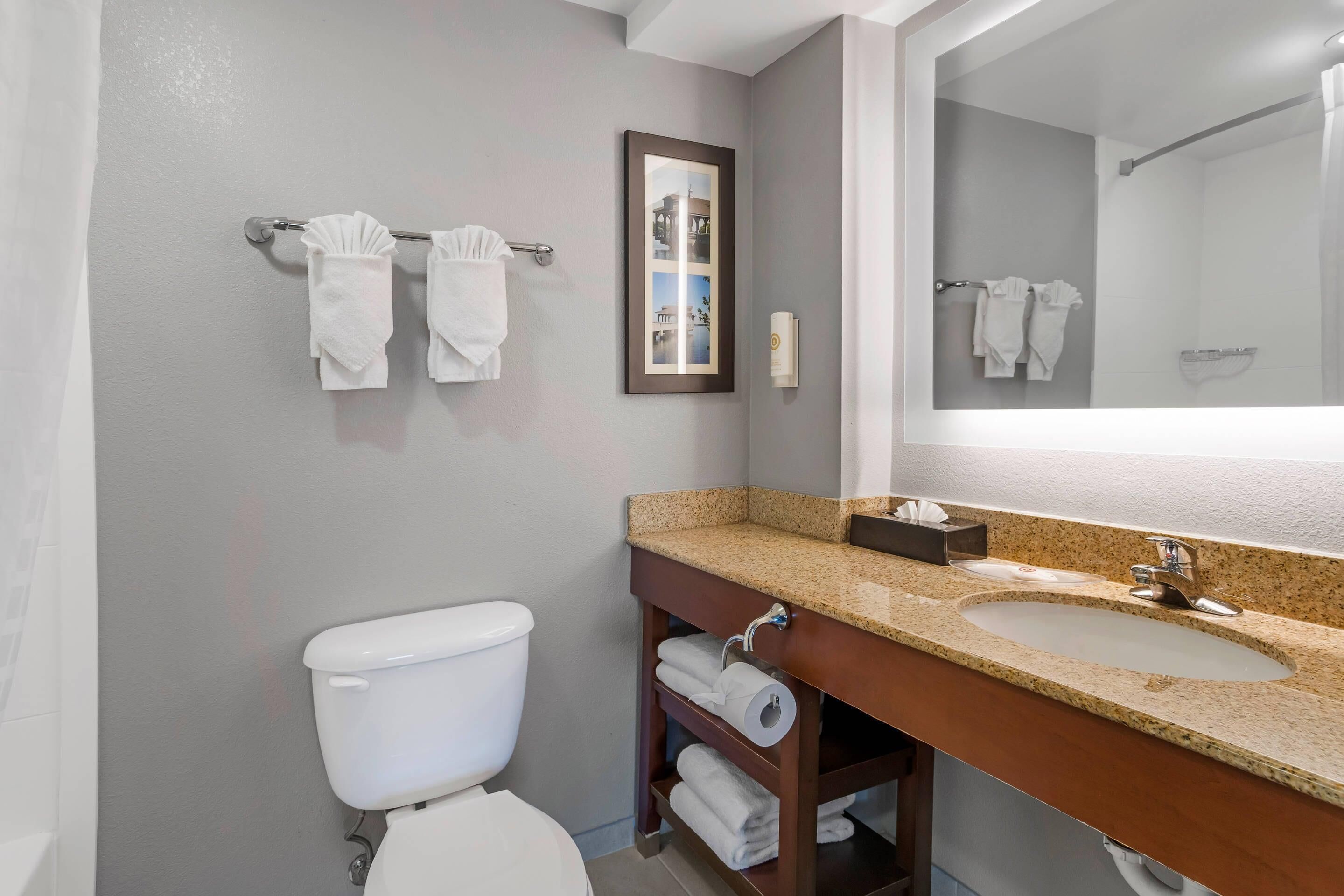 Suite, non-fumeurs (2 Queen Beds with Sofabed) | Salle de bain | Articles de toilette gratuits, sèche-cheveux, serviettes fournies, savon