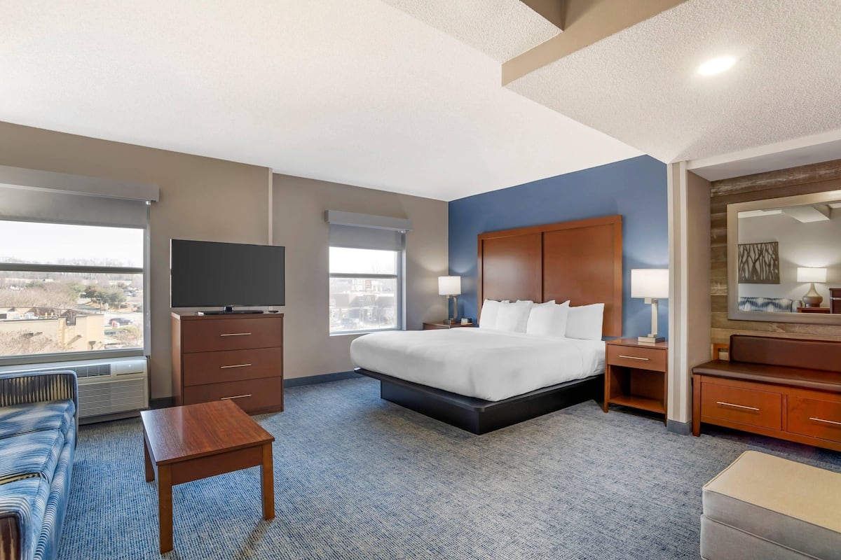 Suite, 1 King Bed with Sofa bed, Non Smoking