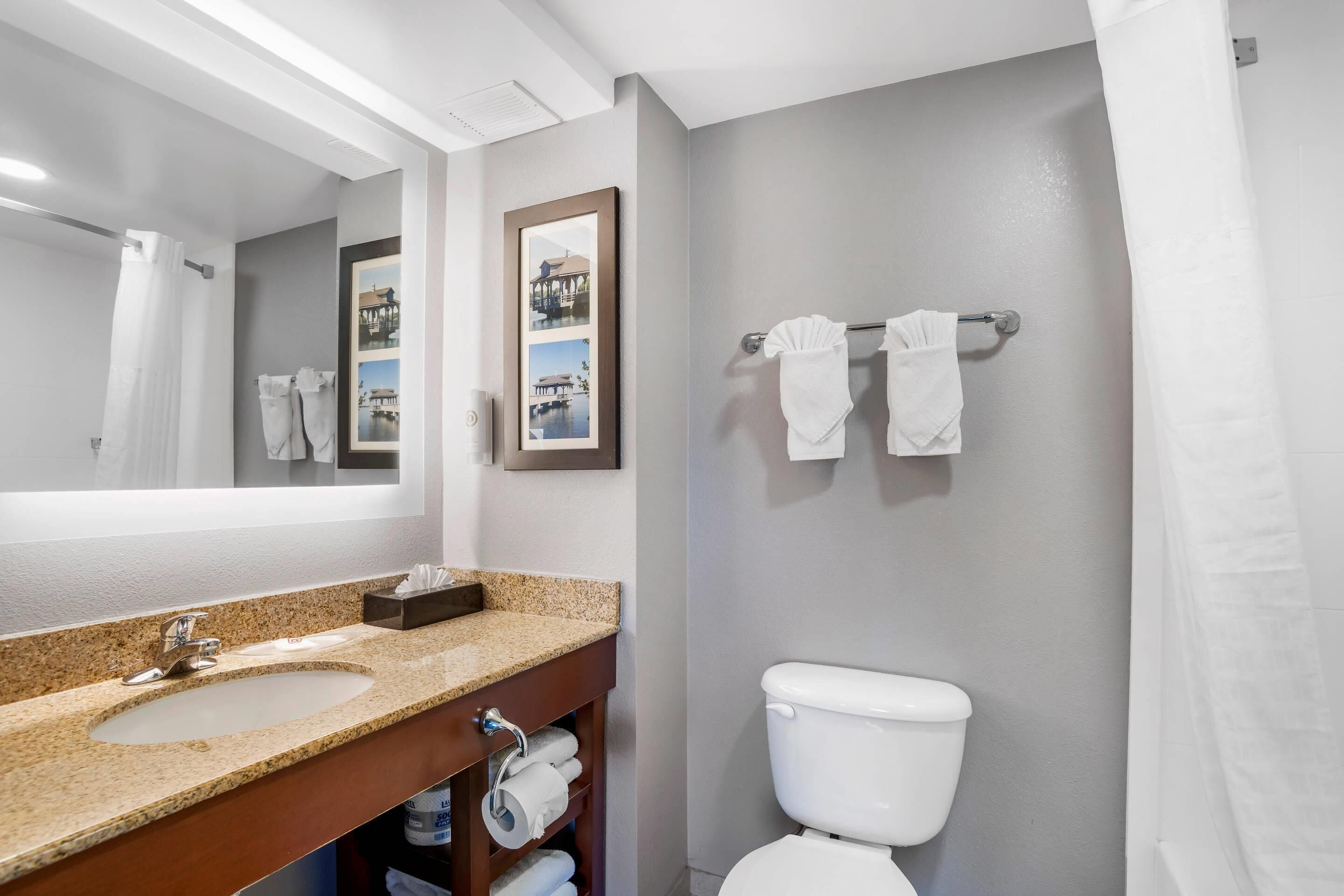 suite, 1 king bed with sofa bed, non smoking | bathroom | free toiletries, hair dryer, towels, soap