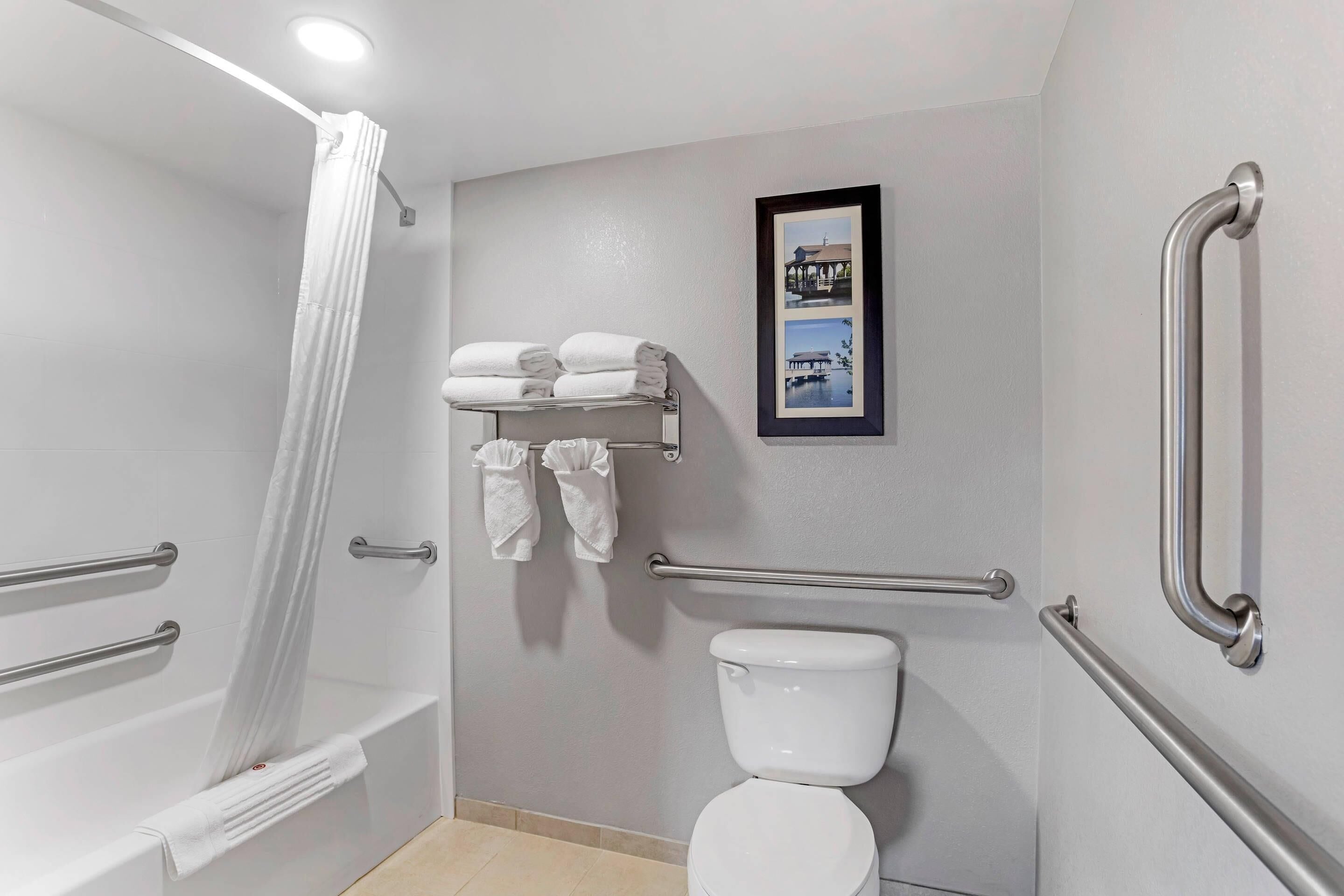 suite, 1 king bed with sofa bed, accessible, non smoking | bathroom | free toiletries, hair dryer, towels, soap