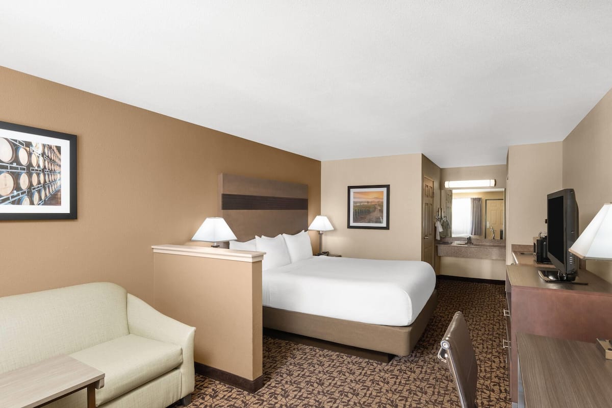 Ein Hotelzimmer mit Bett, einer Couch, einem Schreibtisch und einem Fernseher.