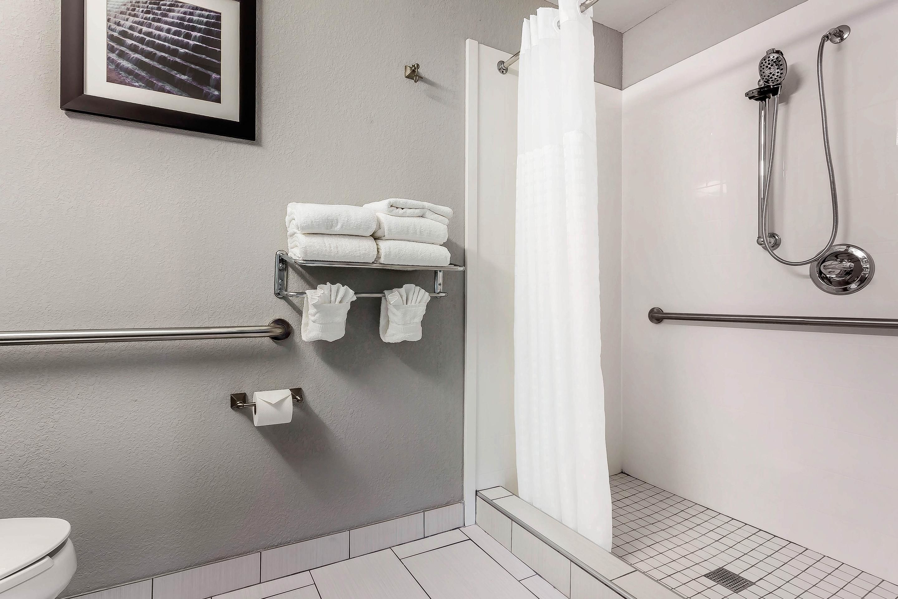 combined shower/bathtub, free toiletries, hair dryer, towels
