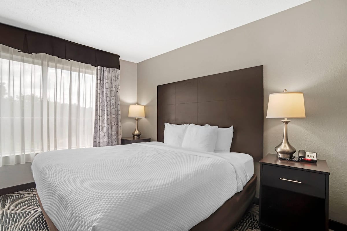 Suite, 1 King Bed, Non Smoking | Desk, laptop workspace, blackout drapes, iron/ironing board