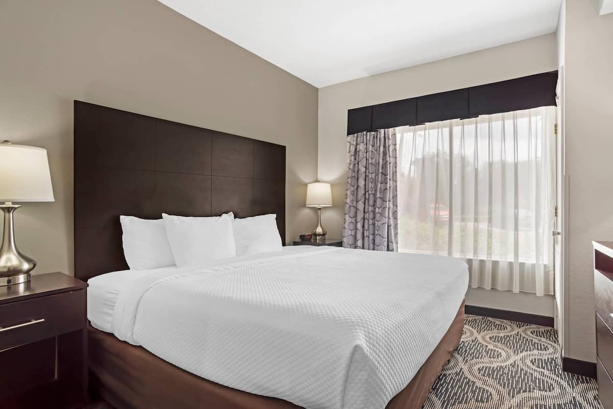 Suite, 1 King Bed, Accessible, Non Smoking | Desk, laptop workspace, blackout drapes, iron/ironing board