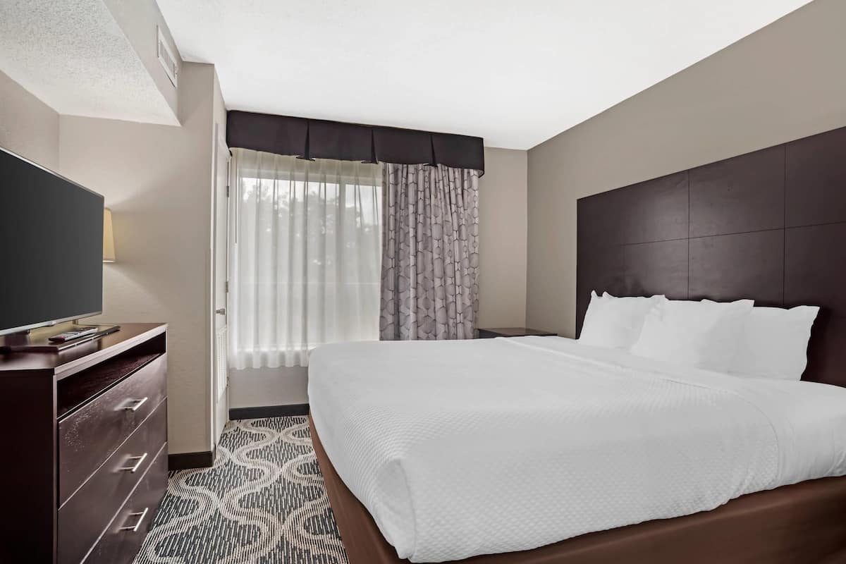 Business Suite, Non Smoking (1 King, 2 Person Sofabed) | Desk, laptop workspace, blackout drapes, iron/ironing board