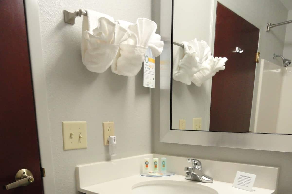 Combined shower/tub, free toiletries, hair dryer, towels