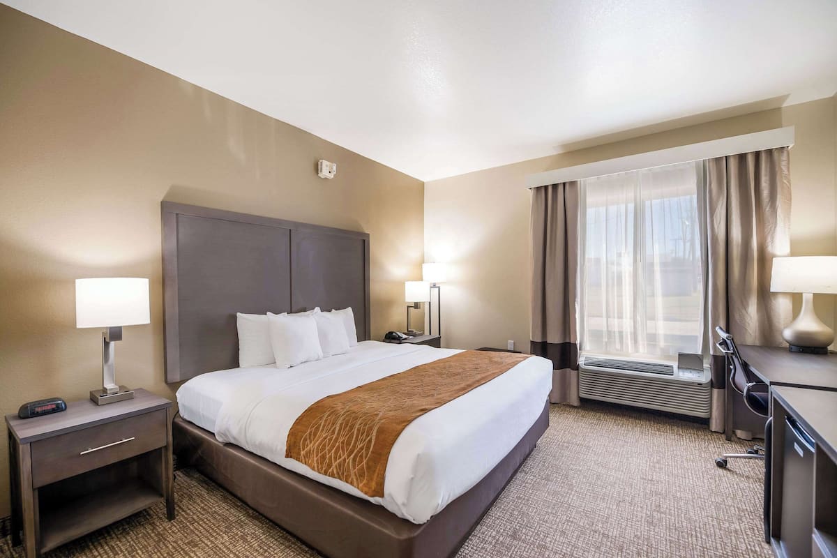A hotel room with a large bed, a desk, a chair, a lamp, a heater, and a window with curtains.