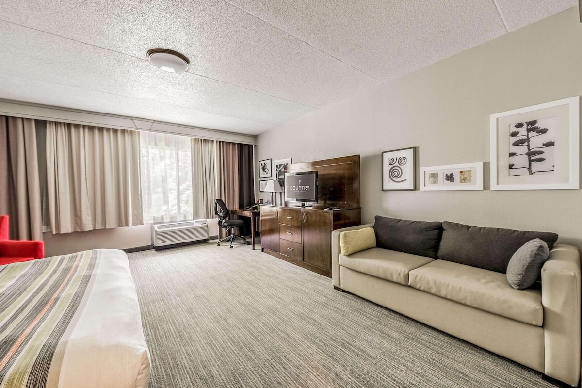 Une chambre d’hôtel avec un lit, un canapé, un bureau, une télévision et des tableaux encadrés au mur.