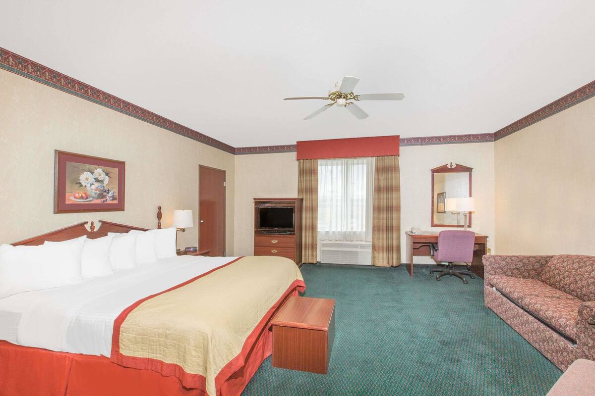 Hotelkamer met een bed, bureau, stoel, bank, televisie en plafondventilator.