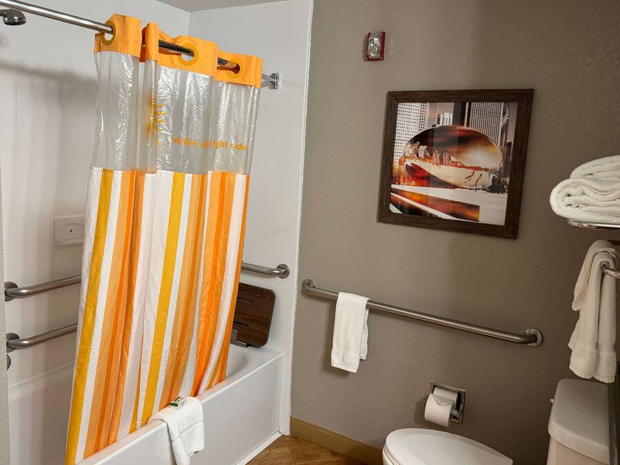 Un baño con cortina de ducha, inodoro, toallero y un cuadro en la pared.