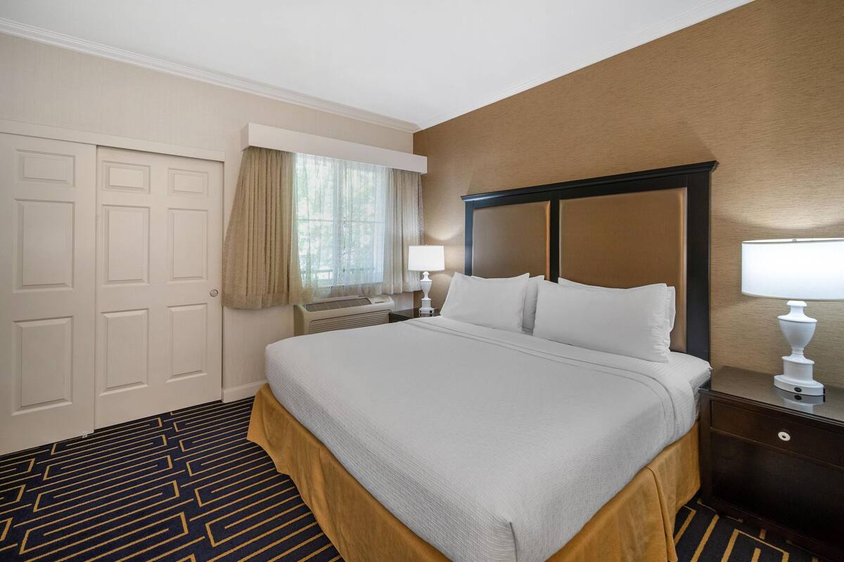 A hotel room with a large bed, a nightstand with a lamp, a window with curtains, and a door.