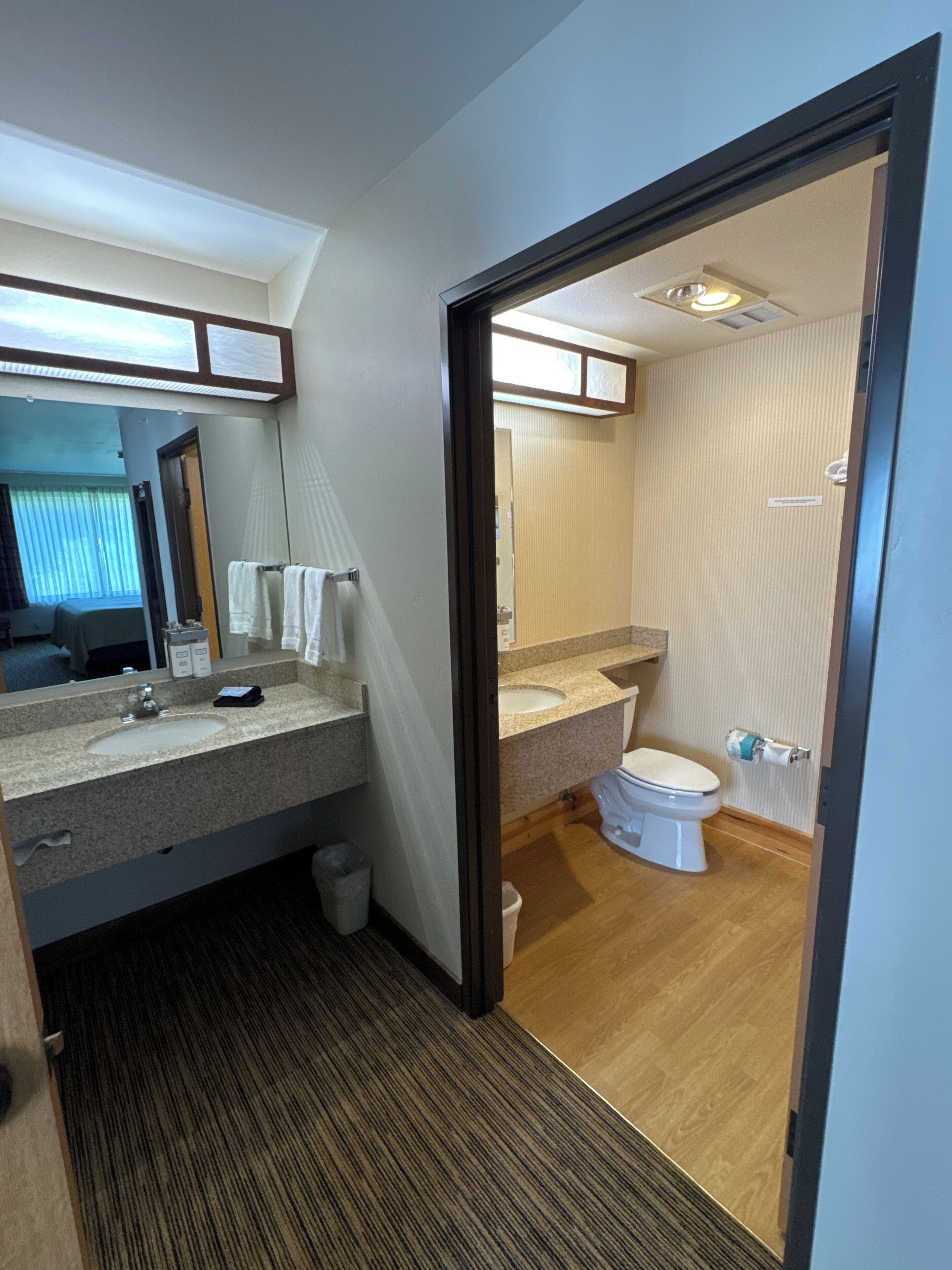 A hotel bathroom with a sink, mirror, and toilet.