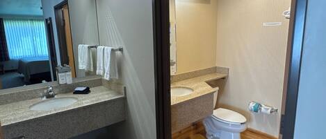 A hotel bathroom with a sink, mirror, and toilet.
