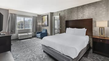 Phòng Suite, nhiều giường, không hút thuốc, tủ lạnh & lò vi sóng (with Sofabed) | Két bảo mật tại phòng, màn/rèm cản sáng, bàn ủi/dụng cụ ủi quần áo