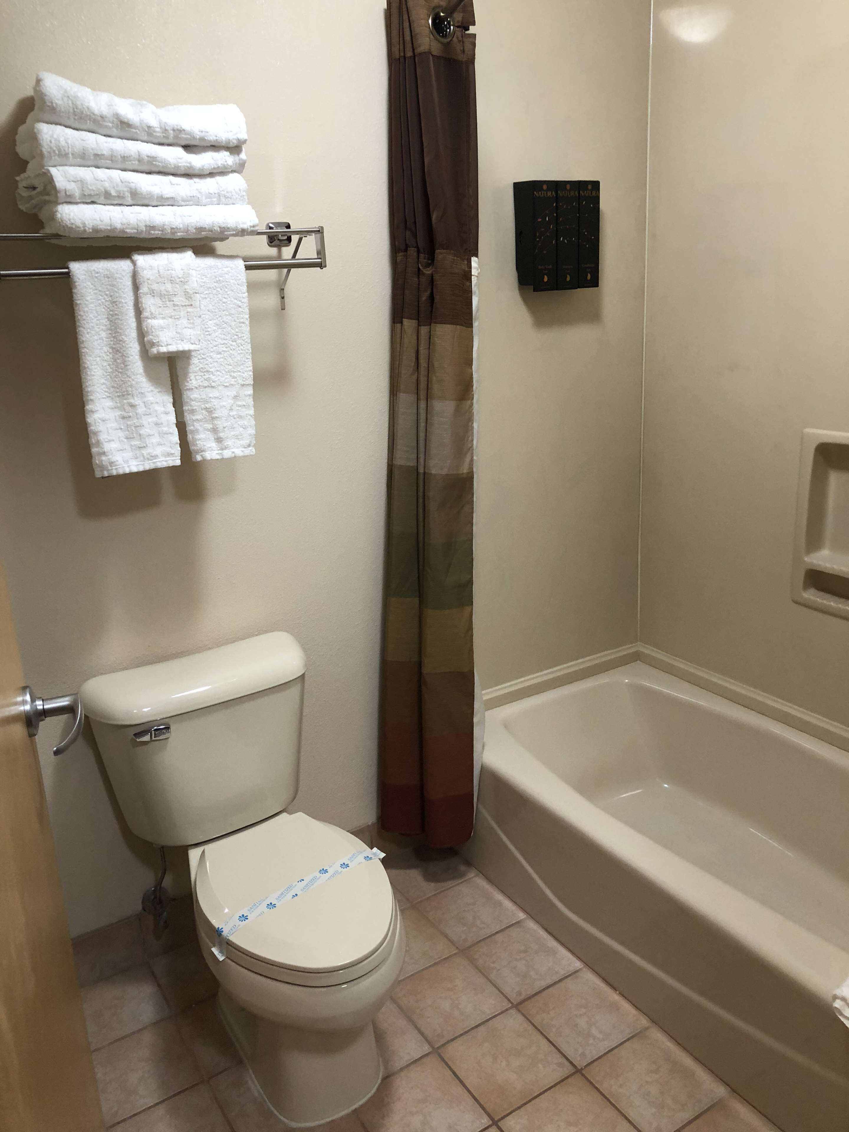 combined shower/bathtub, free toiletries, hair dryer, towels
