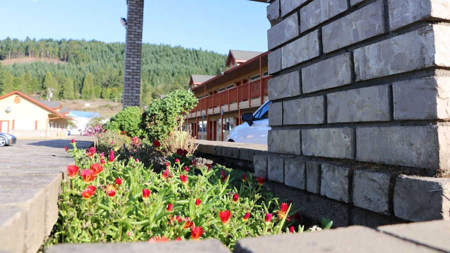 Rice Hill Inn