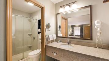 A bathroom with a glass shower enclosure, a toilet, a sink with a vanity, a large mirror, and a hairdryer on the wall.