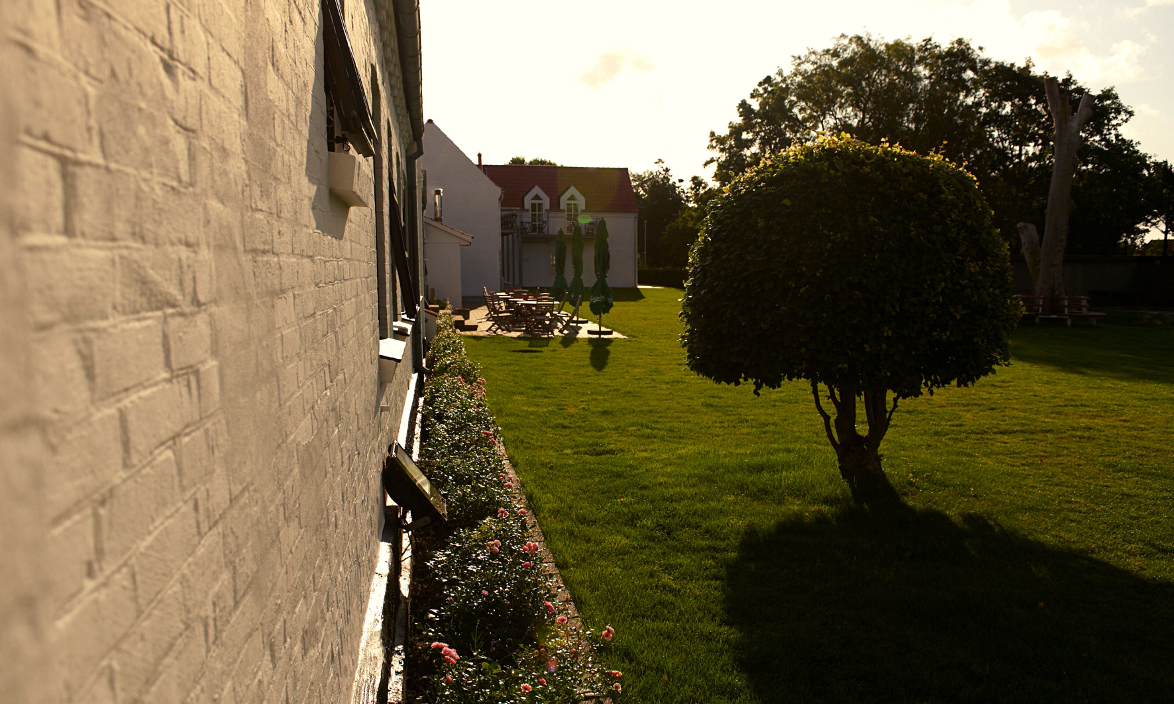 A building with a brick facade, a lawn, and a tree.