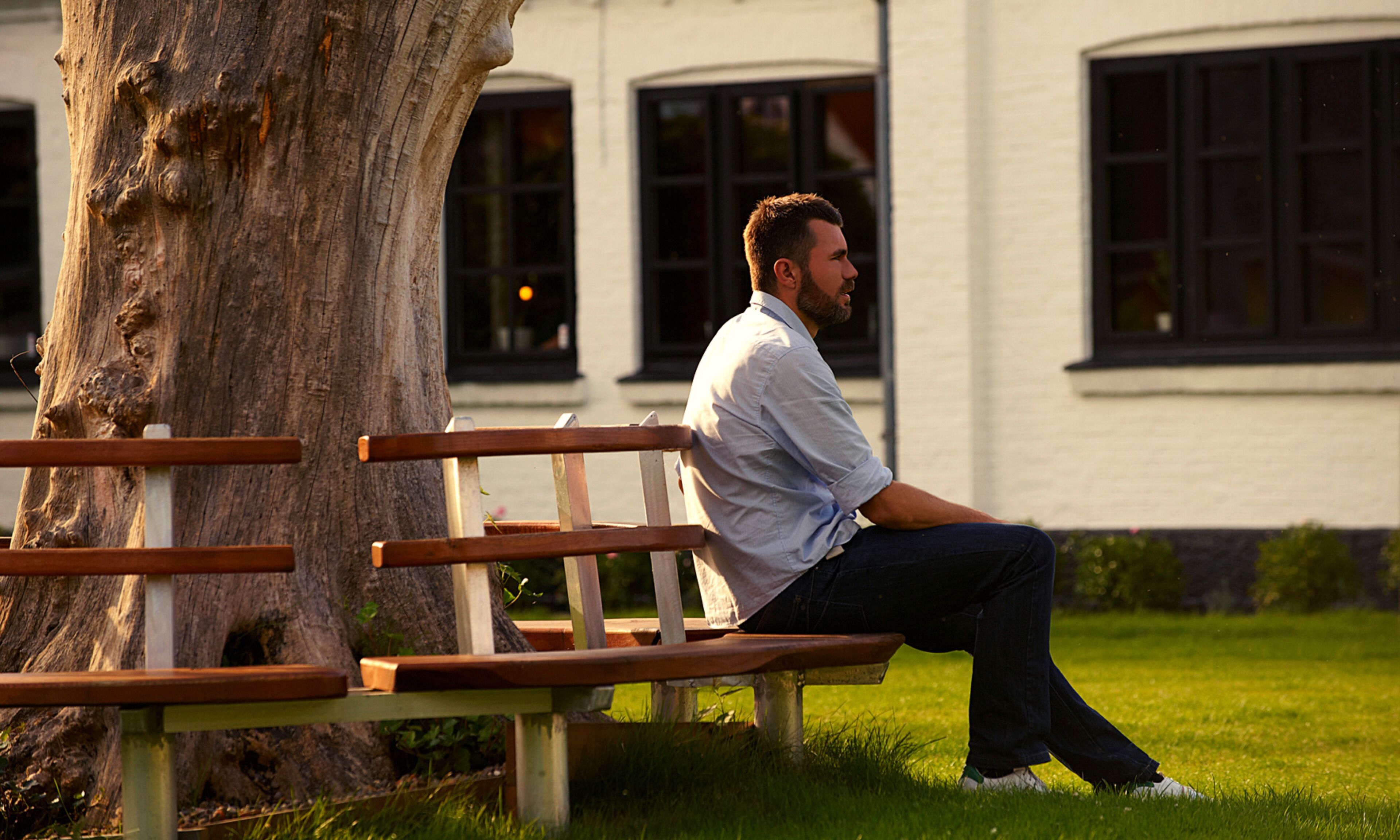 A man sitting on a bench near a tree and a building with windows.
