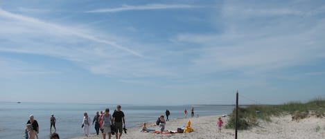 Fiskeri