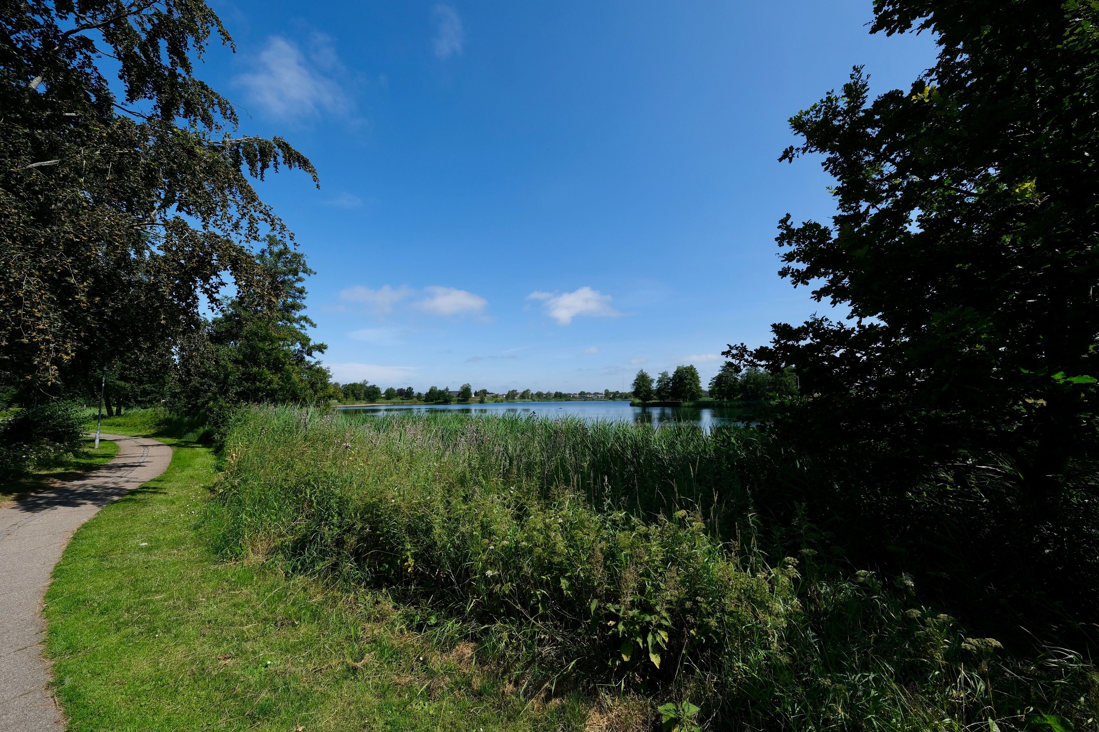 Ein gepflasterter Weg führt zu einem See, der von dichtem Baumbestand und Grün umgeben ist.