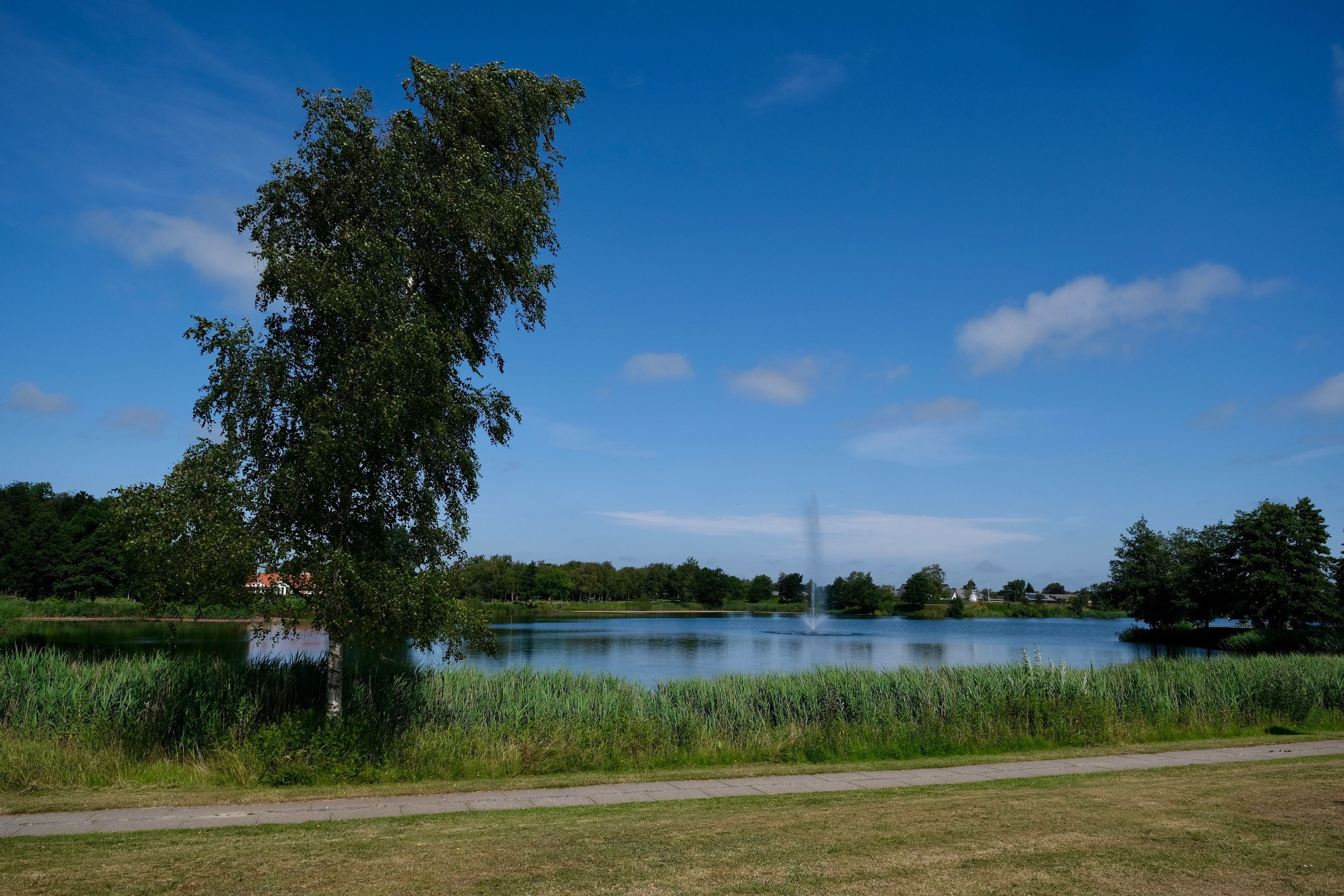 A serene park with a lake, a walking path, and a distant building.
