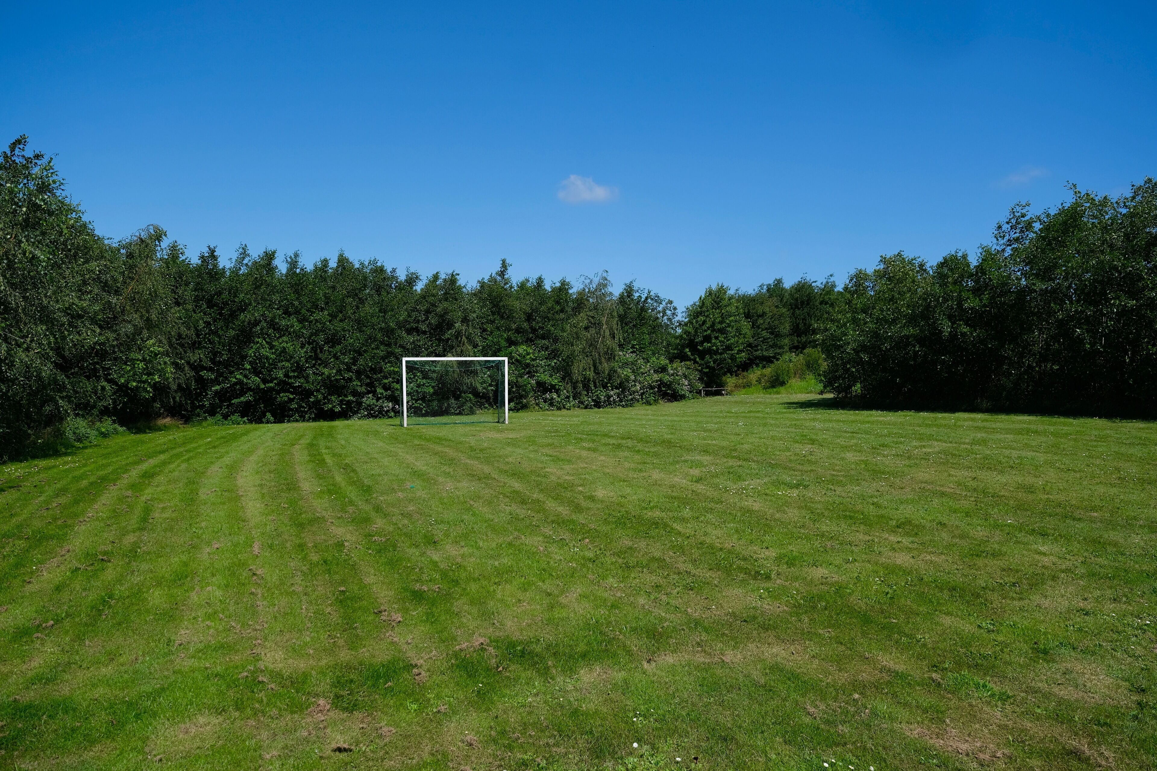 Un campo cubierto de hierba, con un arco de fútbol y árboles al fondo.