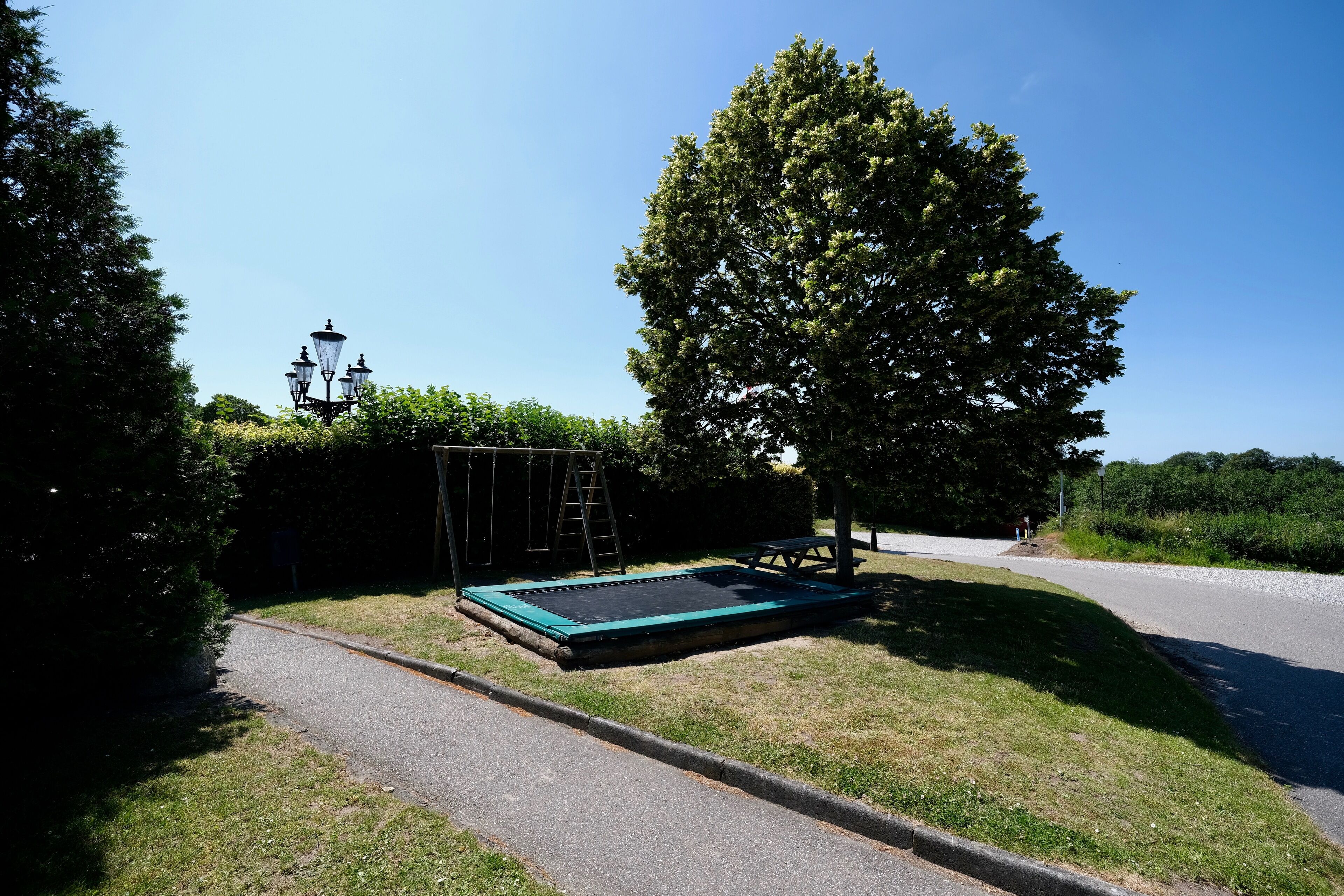 Un'area verde con un trampolino e un'altalena, una strada e un albero.