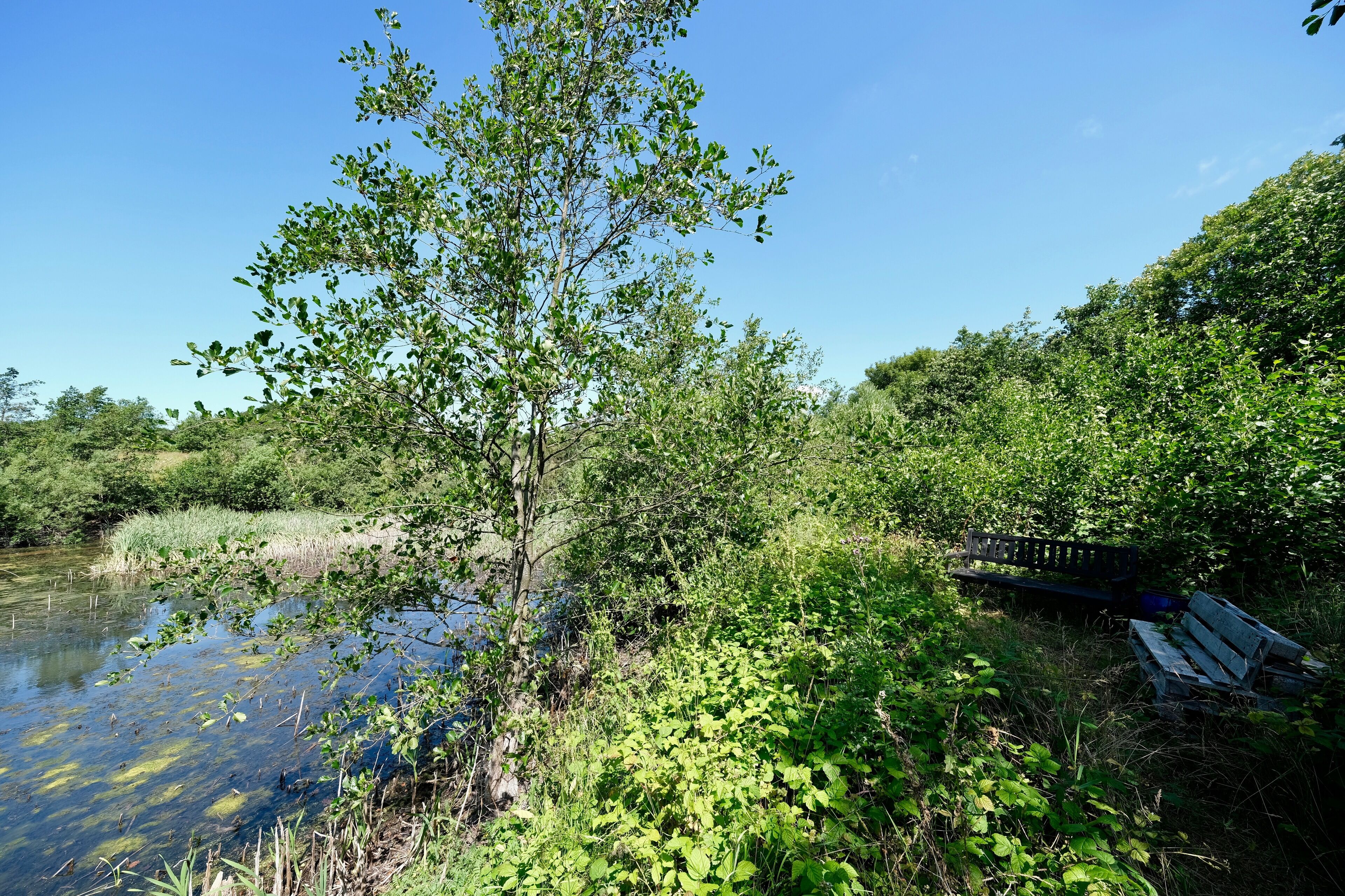 บริเวณภายนอก