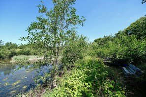A natural landscape with a body of water, dense greenery, and a wooden bench. - Hotel Årslev Kro (Aarhus)