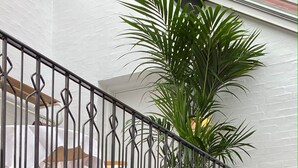 Un balcon orné d’une balustrade en fer forgé, d’un palmier en pot et de différentes plantes suspendues.