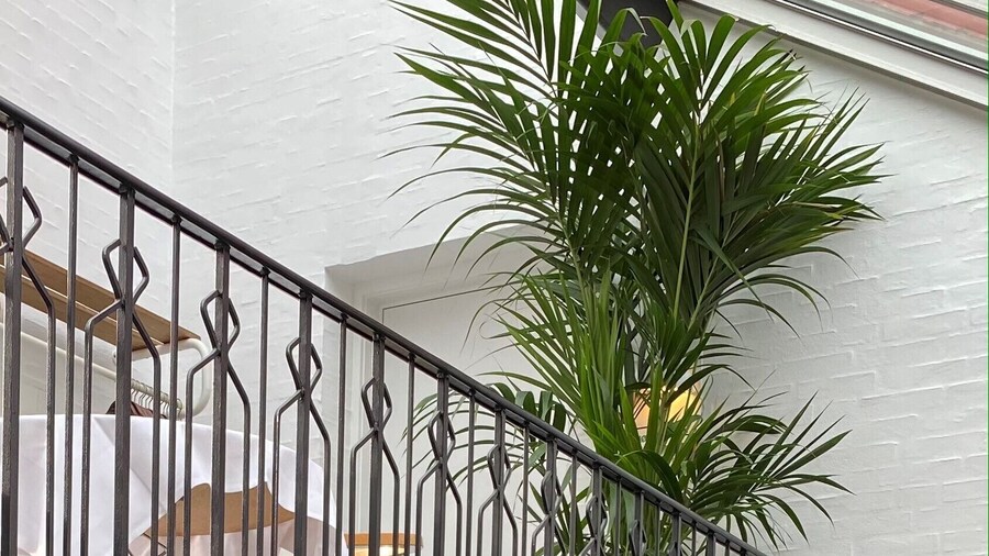 Hotel Dalgas, BW Signature Collection