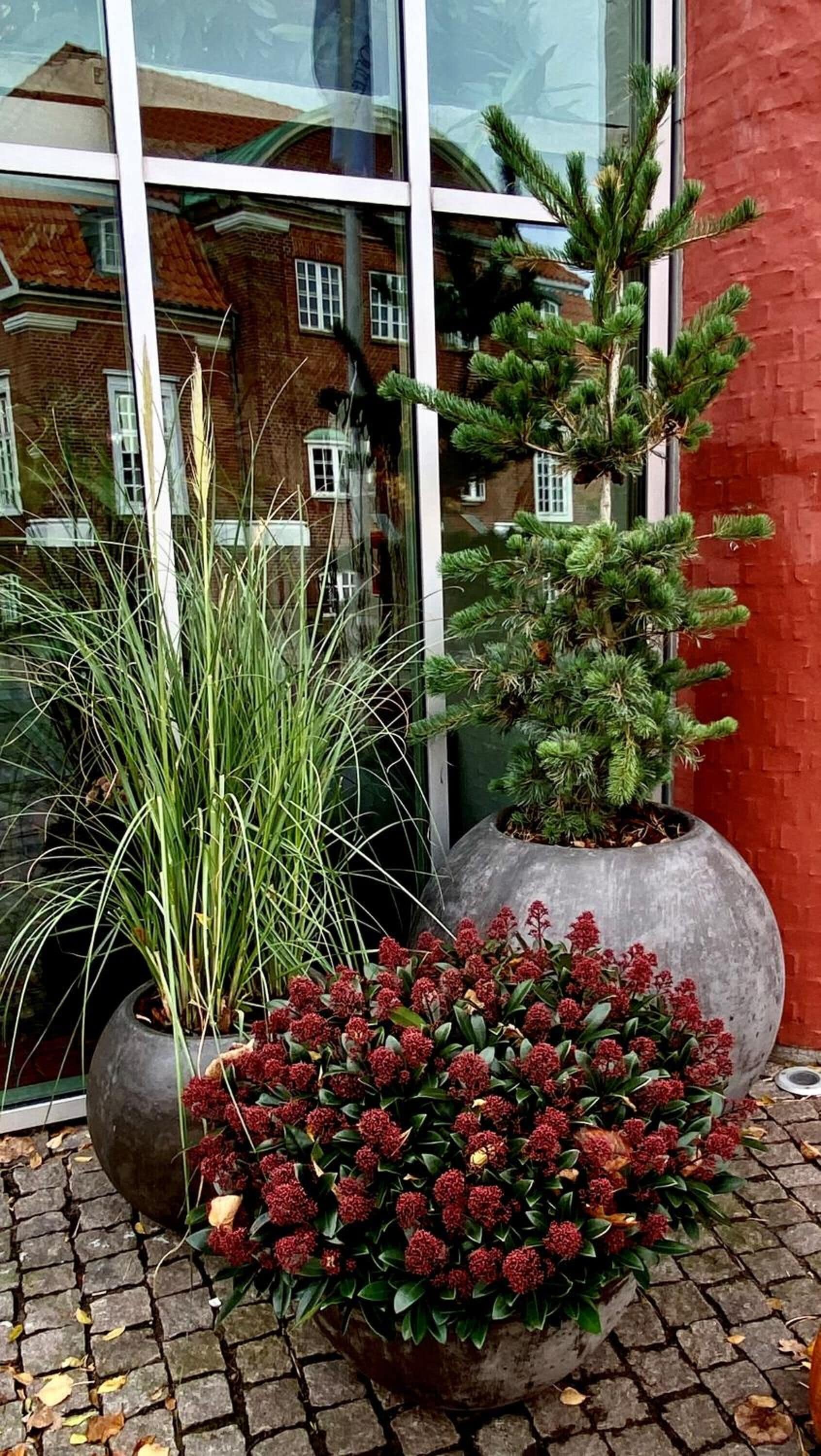 A potted plant arrangement in front of a building with large windows.