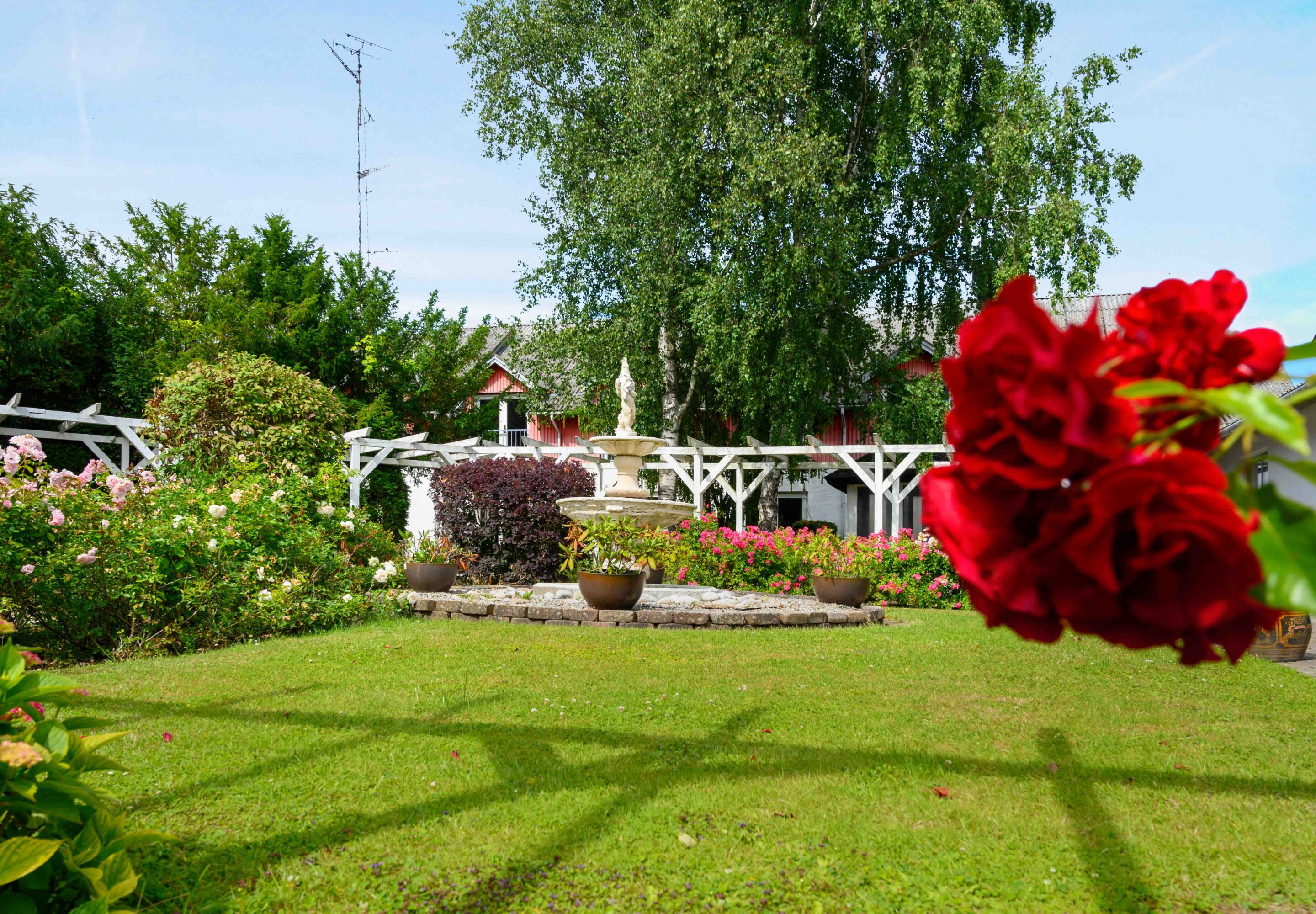 Un jardín con un pabellón blanco, una fuente y diversas plantas con flores.