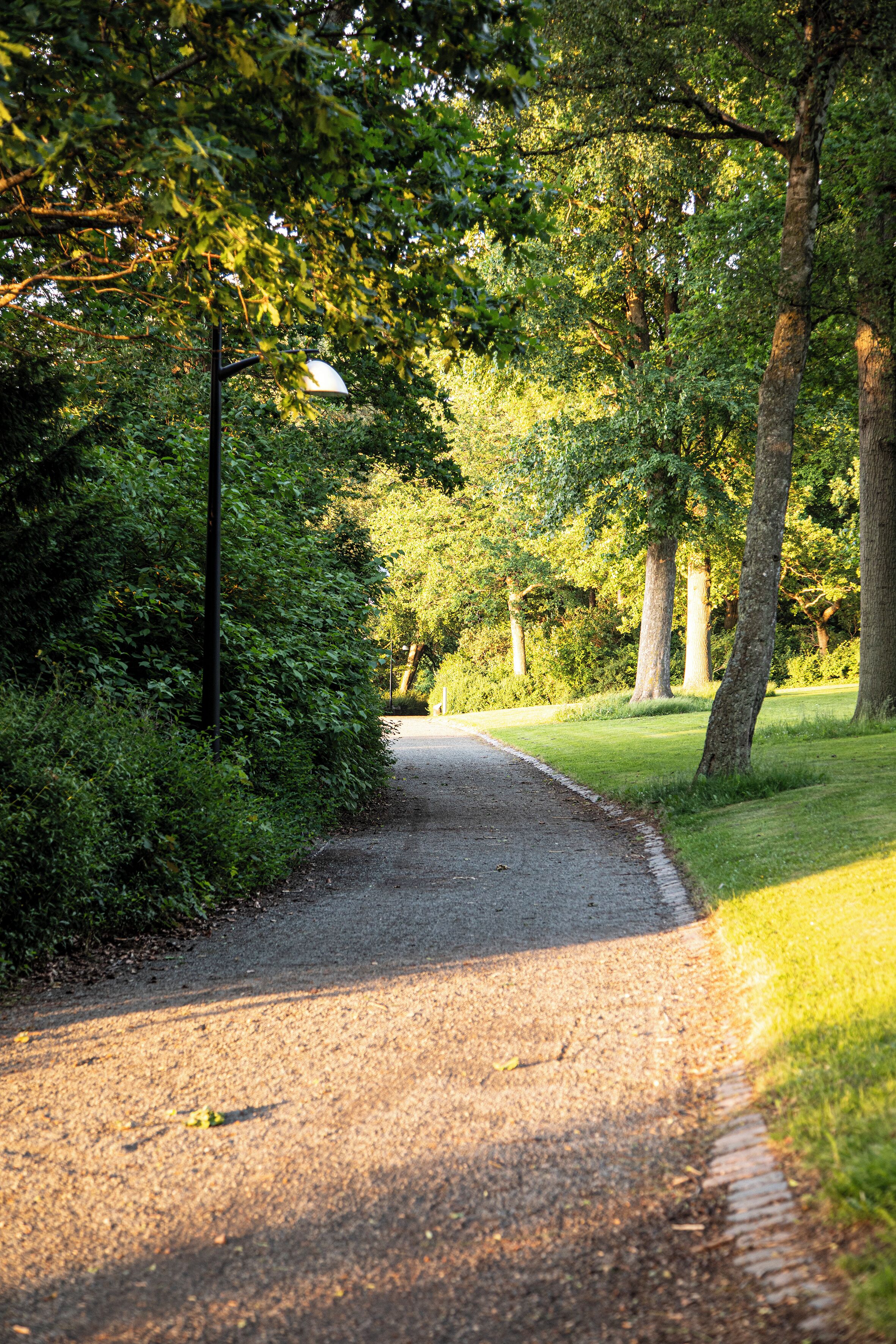 Un chemin de gravier bordé d’une végétation luxuriante et d’arbres, qui mène à un espace vert aménagé en parc.