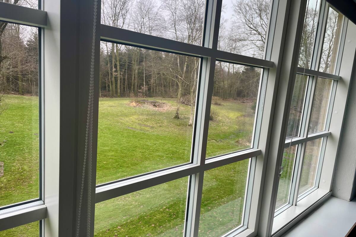 A view through a window with multiple panes, revealing a grassy outdoor area with trees and a clear sky.