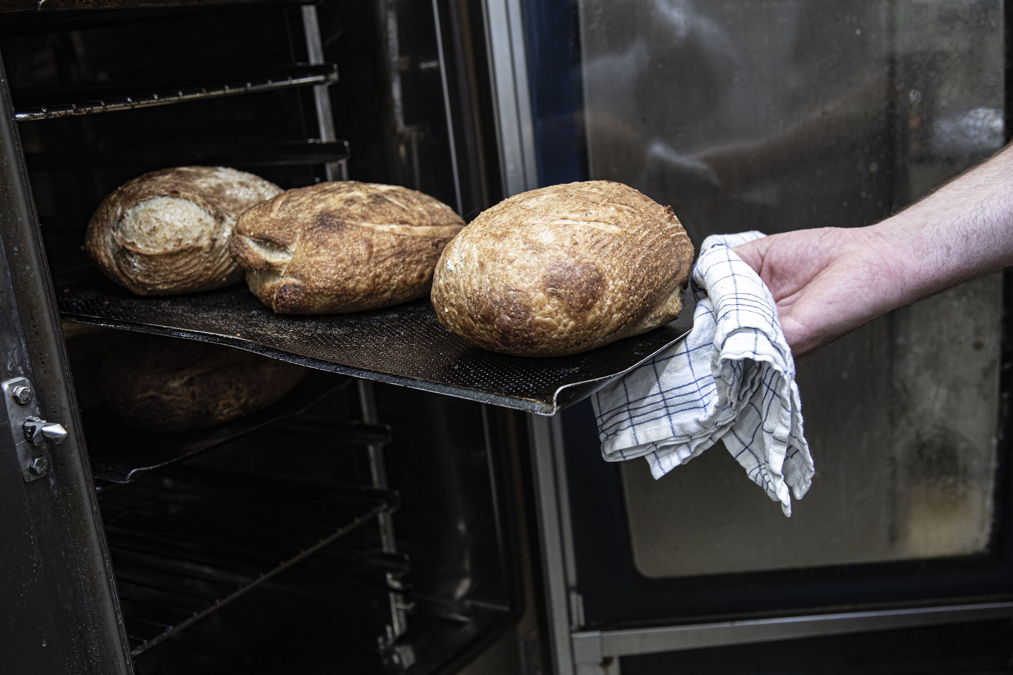 Een hand houdt een doek boven een oven met meerdere broden erin.