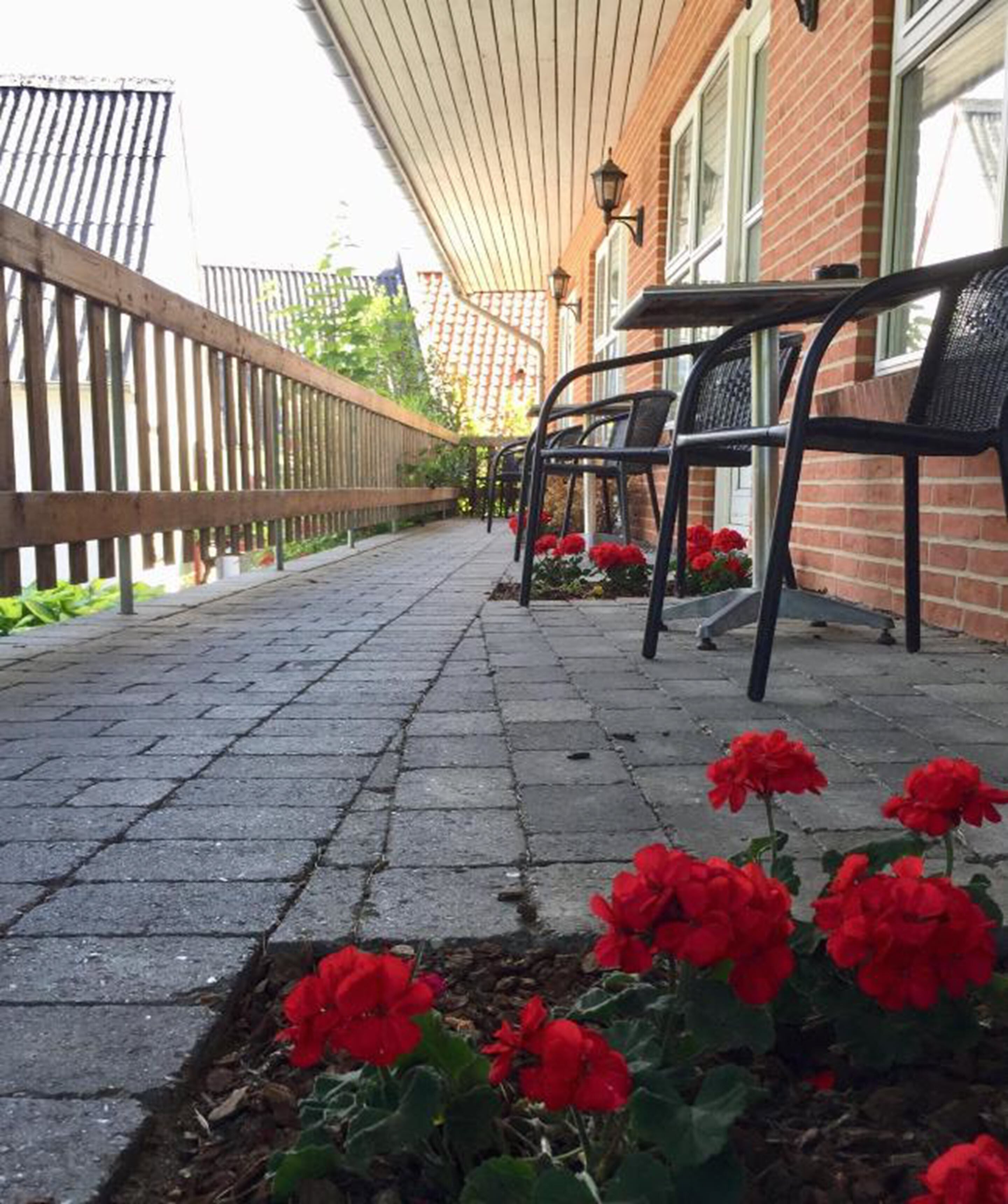 Deluxe Room | Terrace/patio