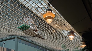 Un interior moderno con una escalera, una zona de estar y una estructura de techo con mosquitero.