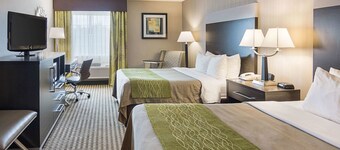 Comfort Inn Camden