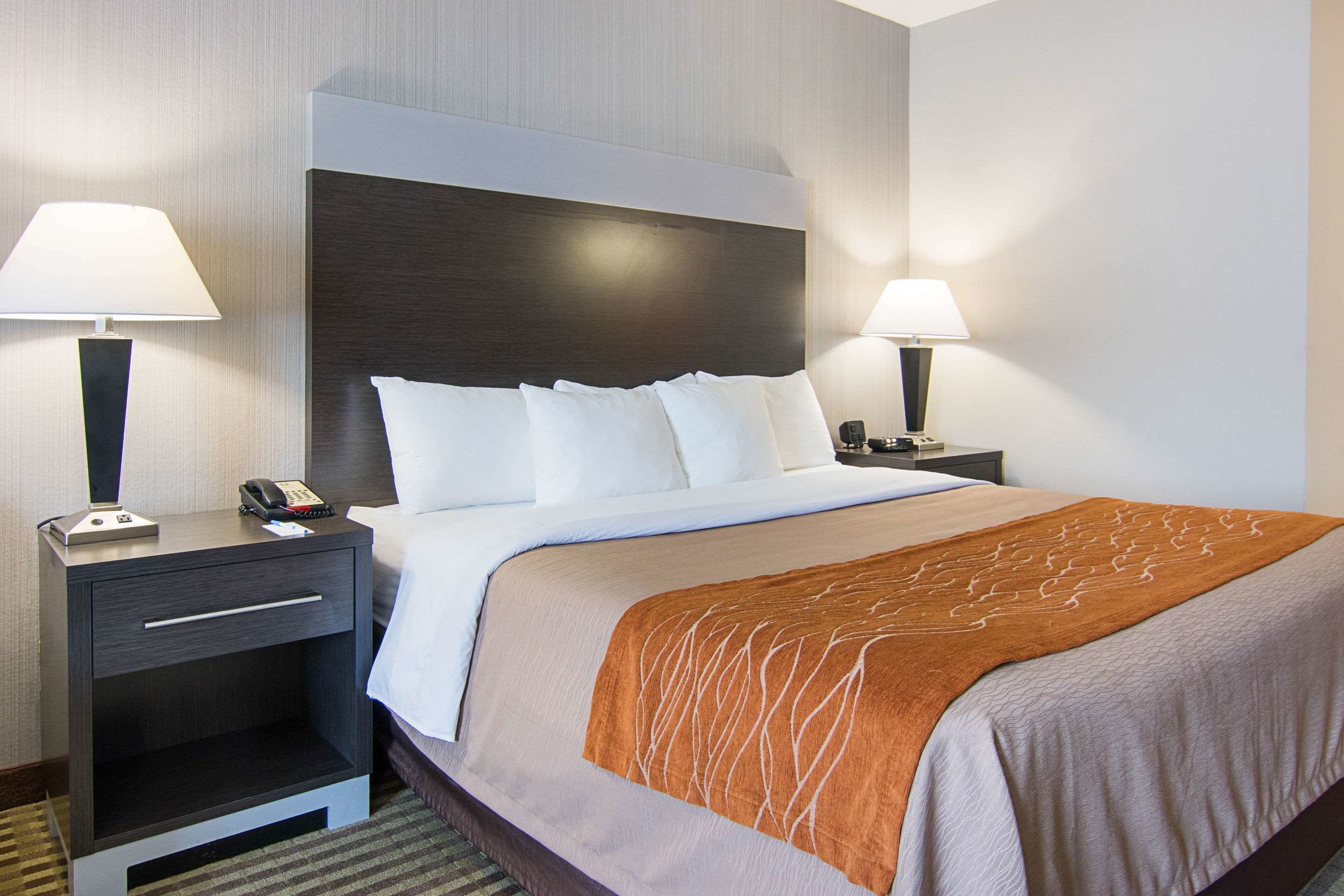 Una habitación de hotel con una cama, dos mesitas de noche, una lámpara sobre cada mesita y un teléfono en una de ellas, además de suelo alfombrado.