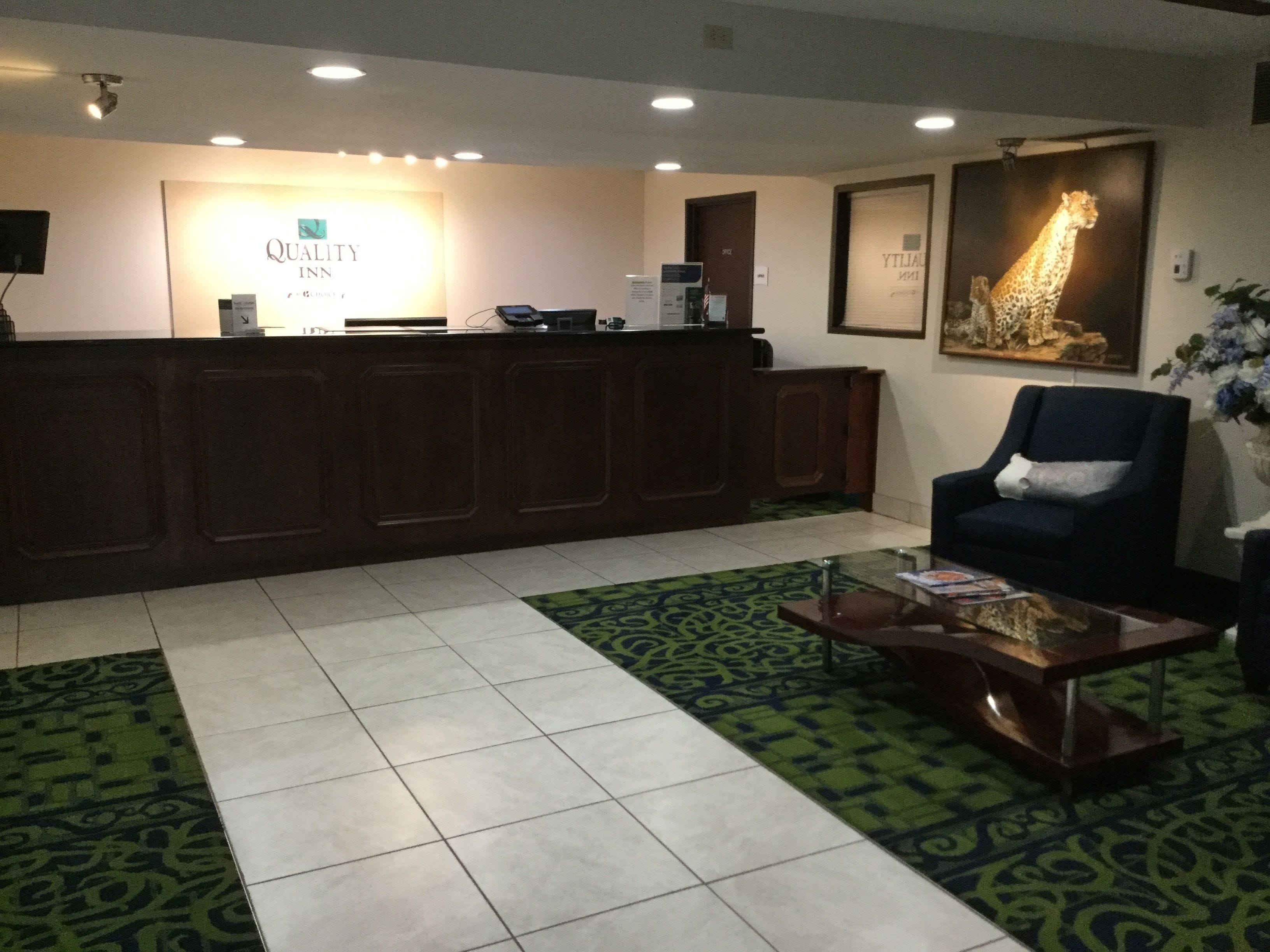 A reception area with a wooden reception desk, a chair, a coffee table, and a large giraffe poster on the wall.