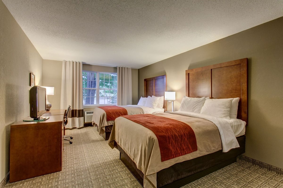 A hotel room with two beds, a desk with a computer, a window with curtains, and a view of trees outside.