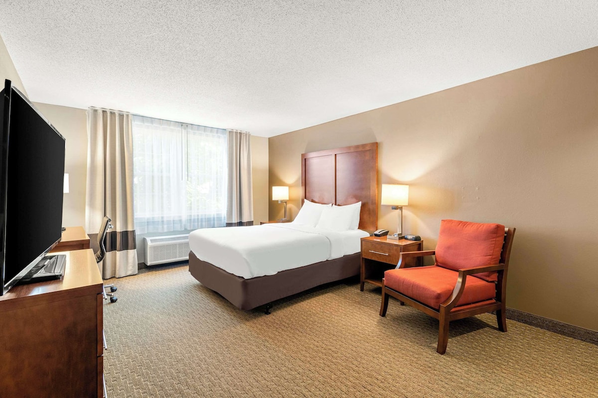 A hotel room with a bed, a desk, a chair, a TV, and a lamp.